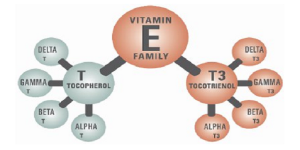Витамин Е (токоферол, токотриенол)